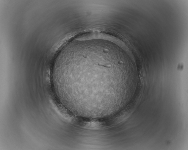 X0000115330212200911161817