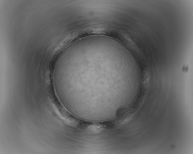 X0000115330213200911161817