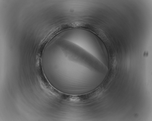 X0000115330214200911161817