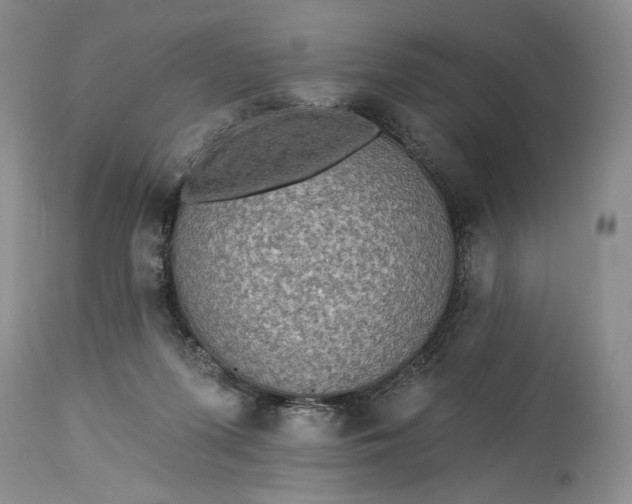 X0000115330215200911161817