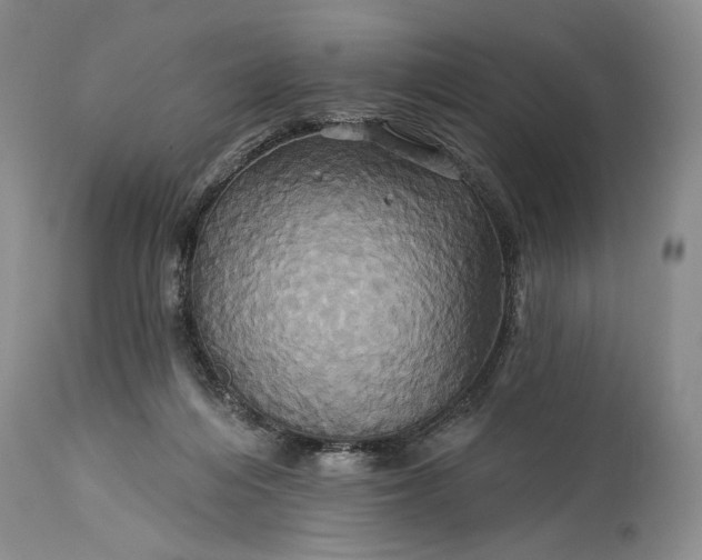 X0000115330216200911161817