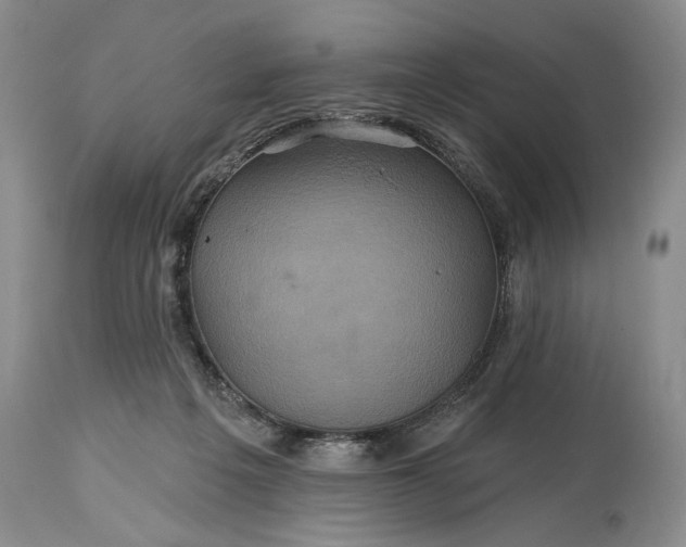 X0000115330217200911161816