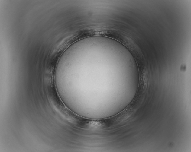 X0000115330218200911161816