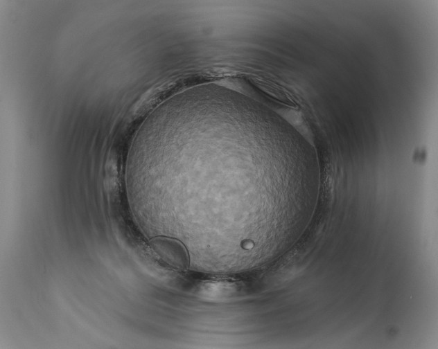 X0000115330220200911161816