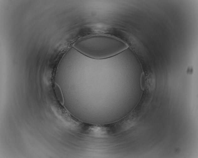 X0000115330221200911161816