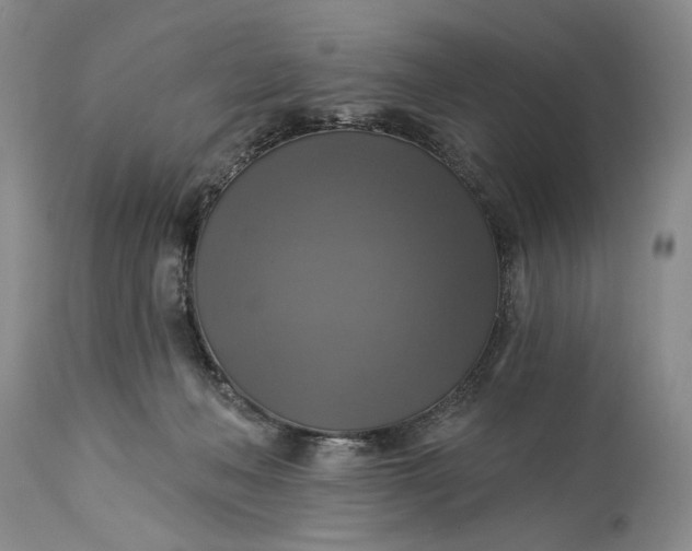 X0000115330222200911161816