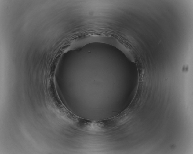 X0000115330223200911161816