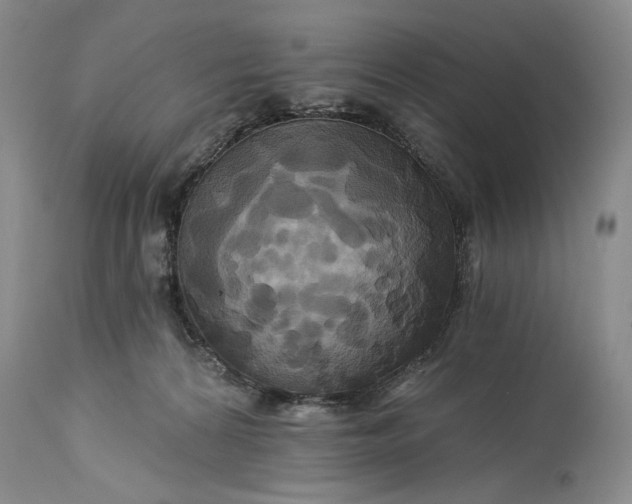 X0000115330224200911161816