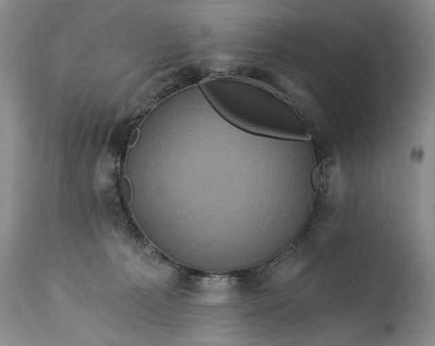 X0000115330225200911161816