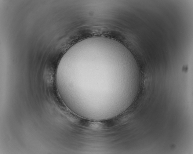 X0000115330226200911161816