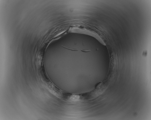 X0000115330227200911161816