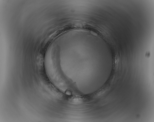 X0000115330228200911161816