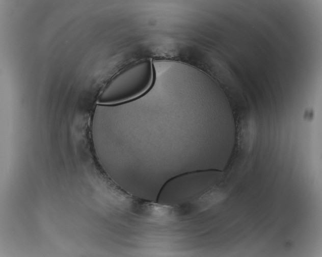 X0000115330229200911161816