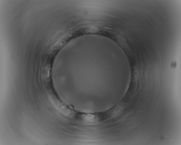 X0000115330230200911161816