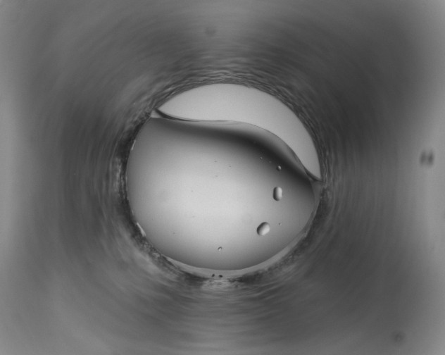 X0000115330231200911161816