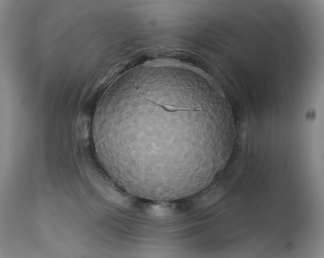 X0000115330232200911161816