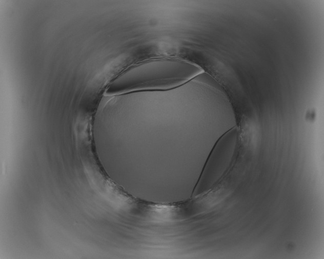 X0000115330233200911161816