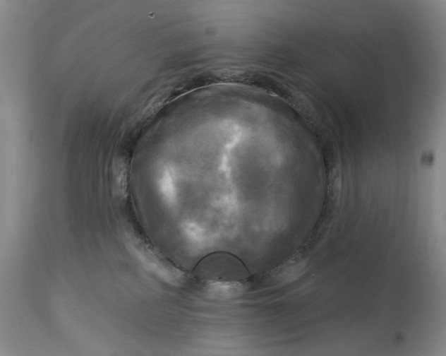 X0000115330234200911161816