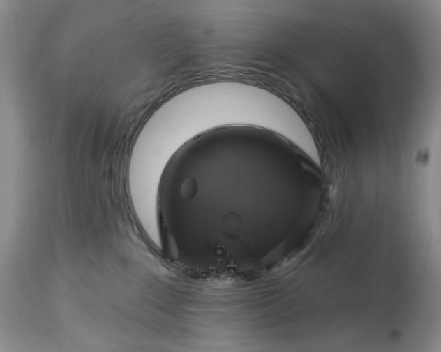 X0000115330235200911161816