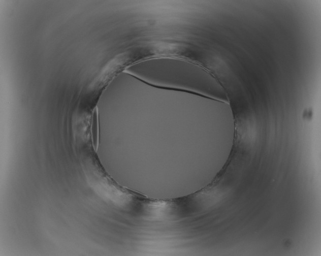 X0000115330237200911161816