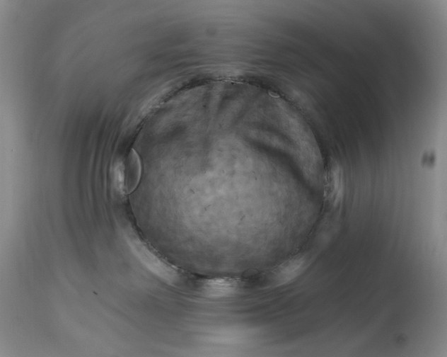 X0000115330238200911161816