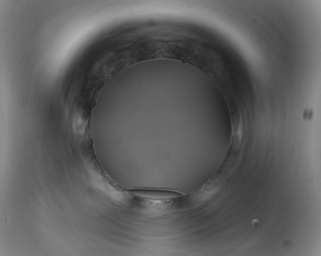 X0000115330239200911161816