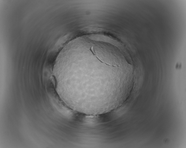 X0000115330240200911161816