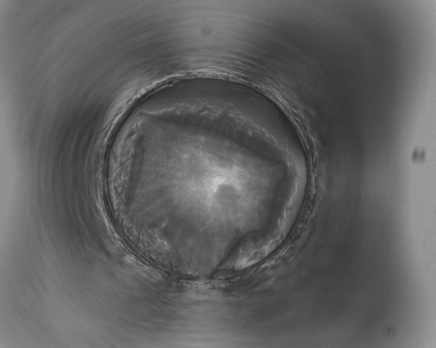 X0000115330241200911161815