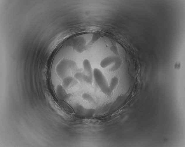 X0000115330242200911161815