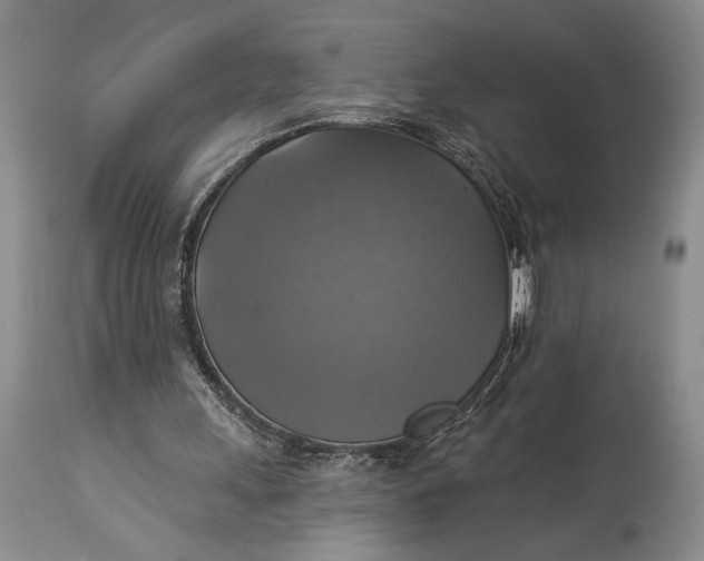 X0000115330243200911161815