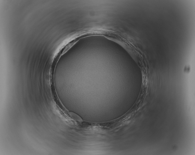 X0000115330244200911161815