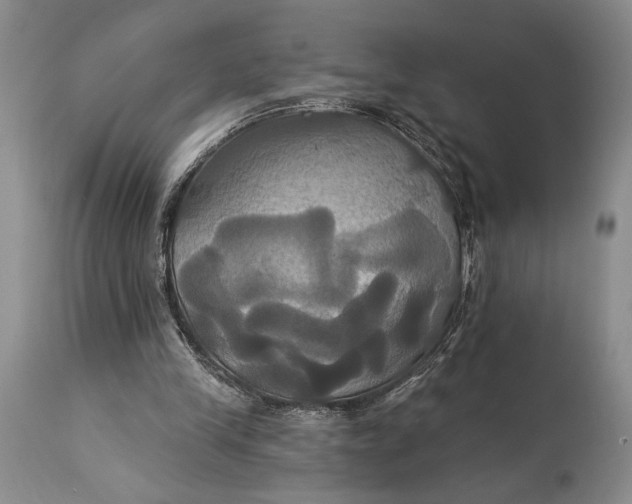 X0000115330245200911161815