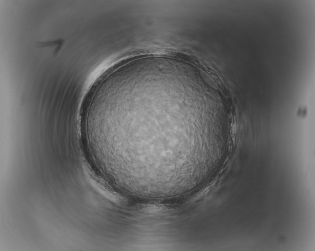 X0000115330246200911161815