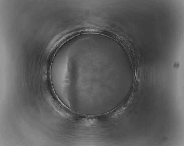 X0000115330247200911161815