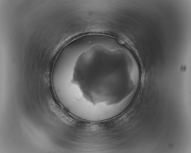 X0000115330249200911161815