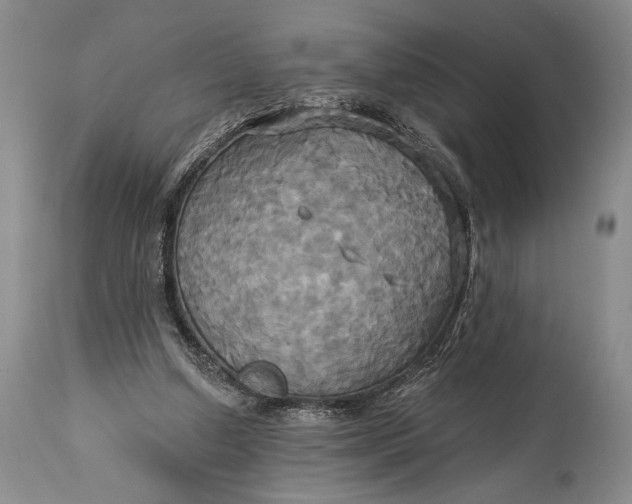 X0000115330250200911161815