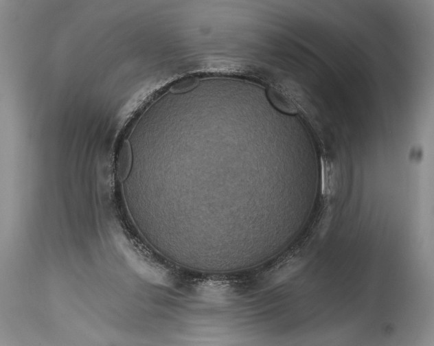 X0000115330252200911161815