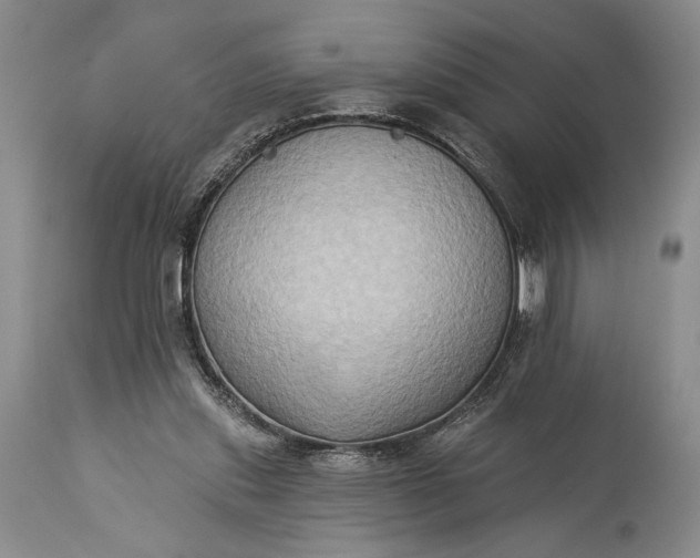 X0000115330253200911161816