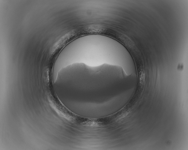 X0000115330254200911161816