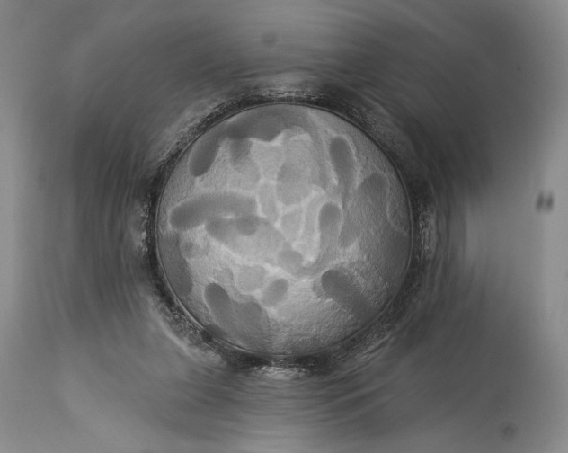 X0000115330255200911161816