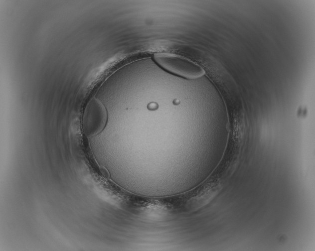 X0000115330256200911161816