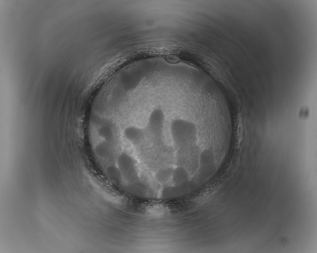 X0000115330258200911161816