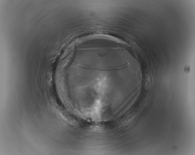 X0000115330259200911161816