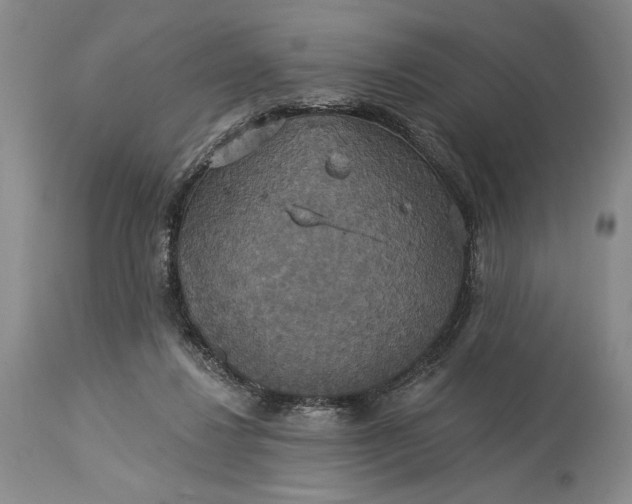 X0000115330260200911161816