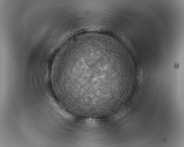 X0000115330261200911161816