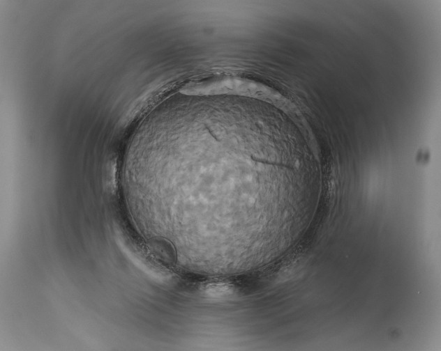 X0000115330262200911161816