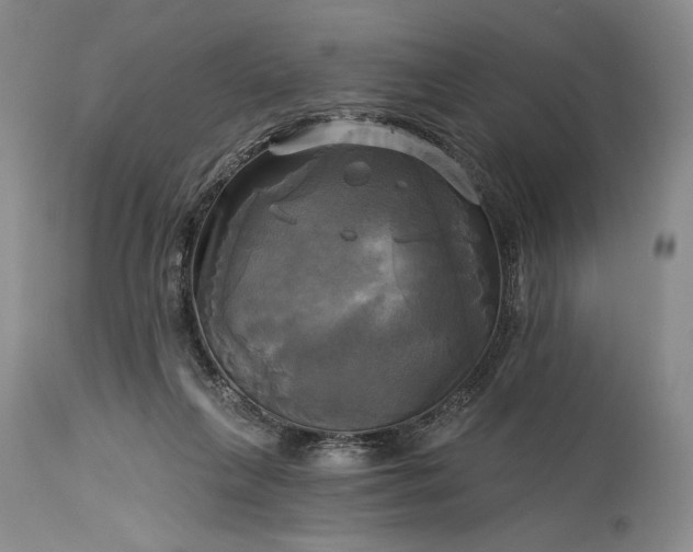 X0000115330263200911161816