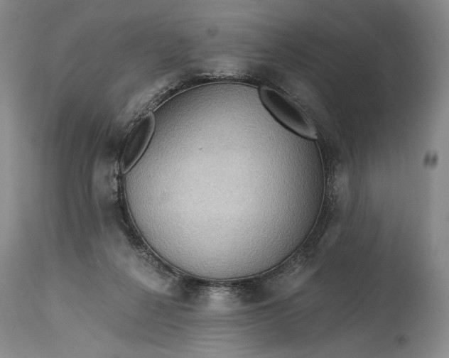 X0000115330264200911161816