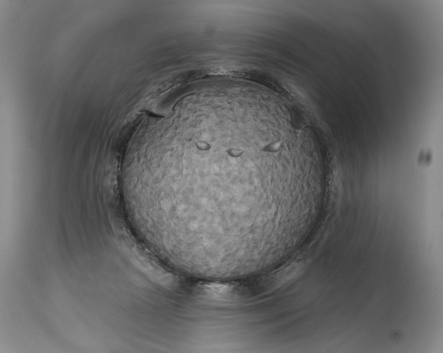 X0000115330265200911161816