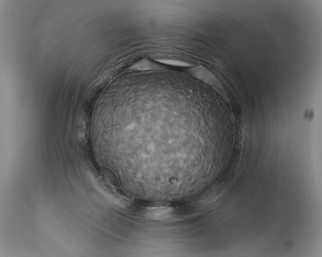 X0000115330266200911161816